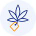 Cannabis Stores